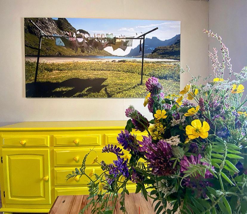 Notnes Midnattsol Guesthouse Skrova Екстериор снимка